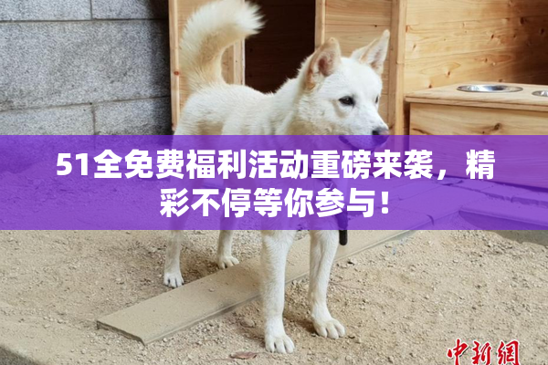 51全免费福利活动重磅来袭，精彩不停等你参与！