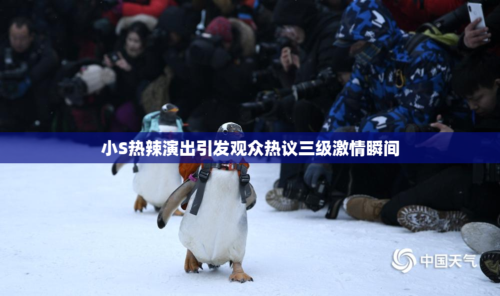 小S热辣演出引发观众热议三级激情瞬间