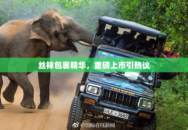 丝袜包裹精华，重磅上市引热议