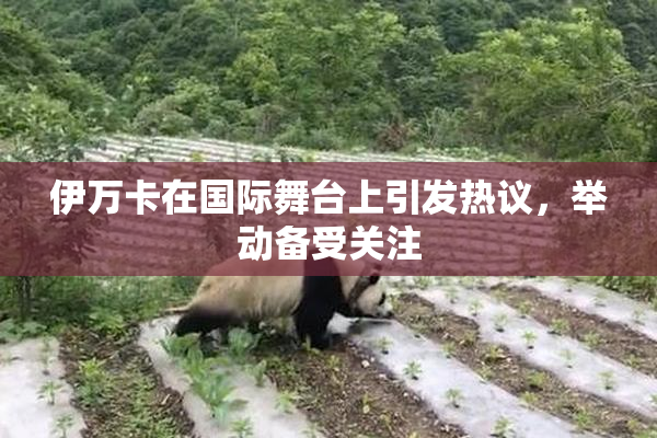 伊万卡在国际舞台上引发热议，举动备受关注