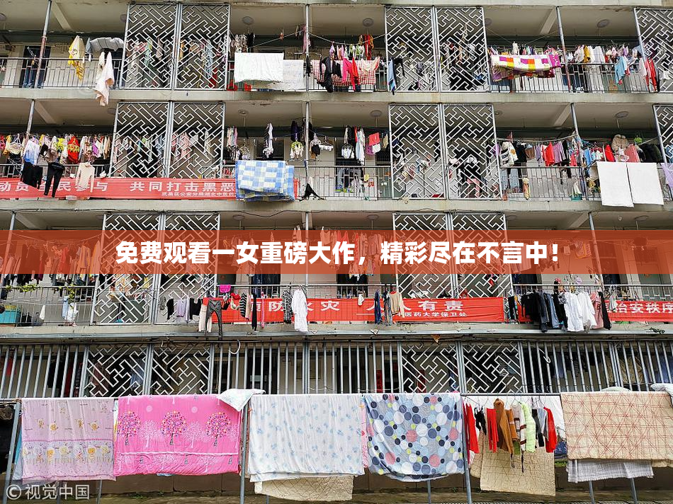 免费观看一女重磅大作，精彩尽在不言中！