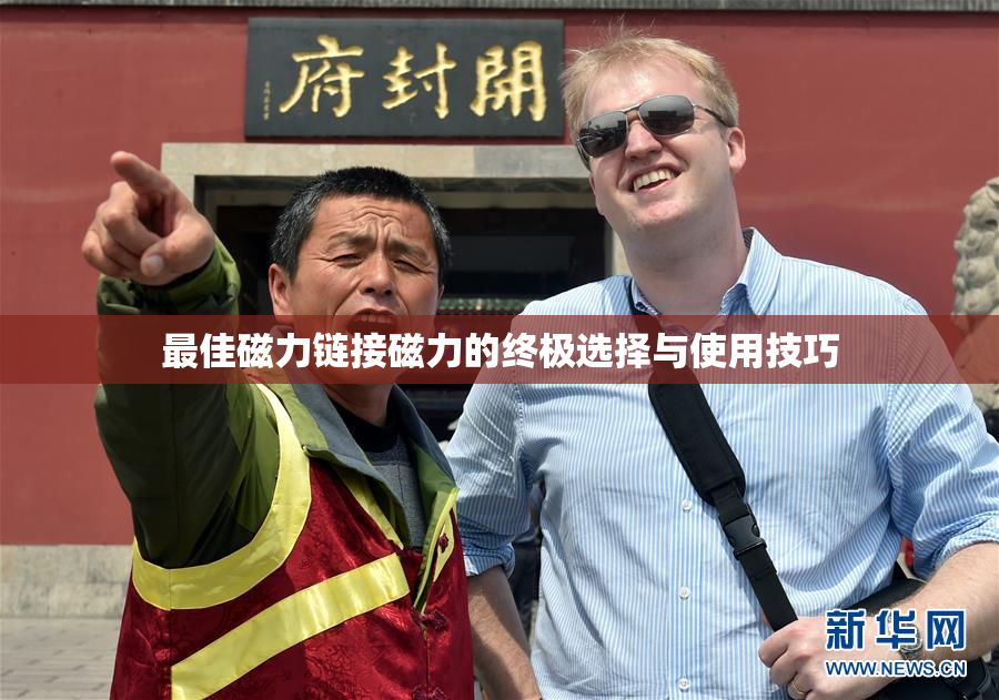 最佳磁力链接磁力的终极选择与使用技巧