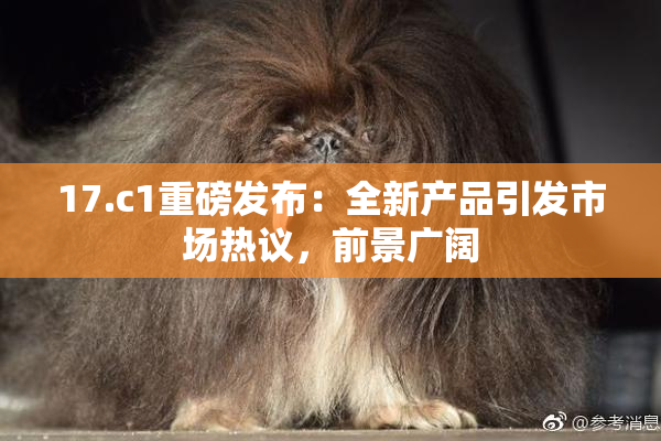 17.c1重磅发布：全新产品引发市场热议，前景广阔