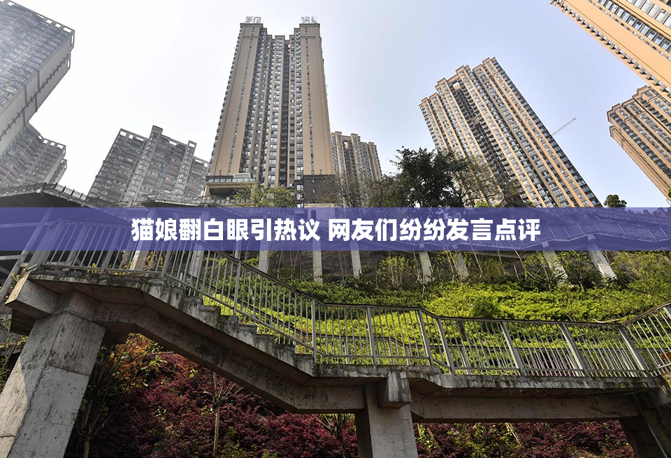 猫娘翻白眼引热议 网友们纷纷发言点评