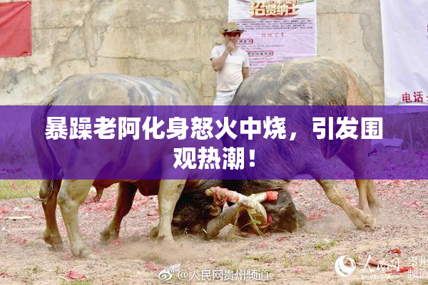 暴躁老阿化身怒火中烧，引发围观热潮！