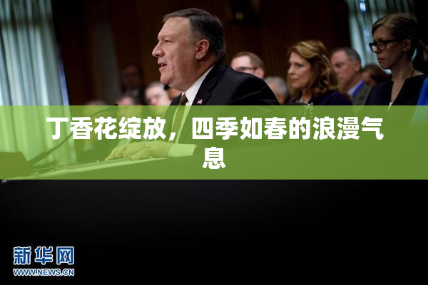 丁香花绽放，四季如春的浪漫气息