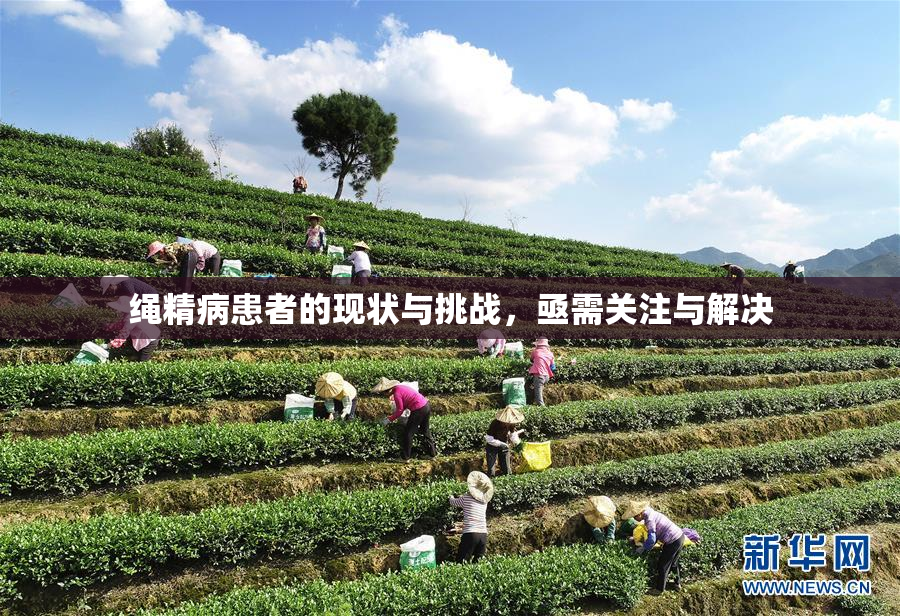 绳精病患者的现状与挑战，亟需关注与解决