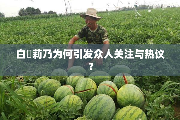 白咲莉乃为何引发众人关注与热议？