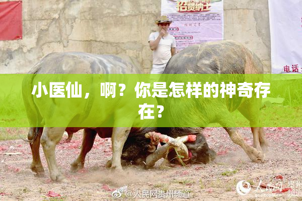 小医仙，啊？你是怎样的神奇存在？