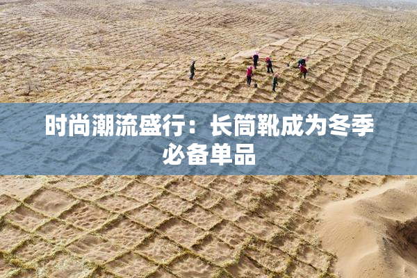 时尚潮流盛行：长筒靴成为冬季必备单品