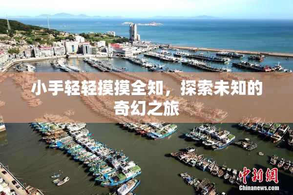 小手轻轻摸摸全知，探索未知的奇幻之旅