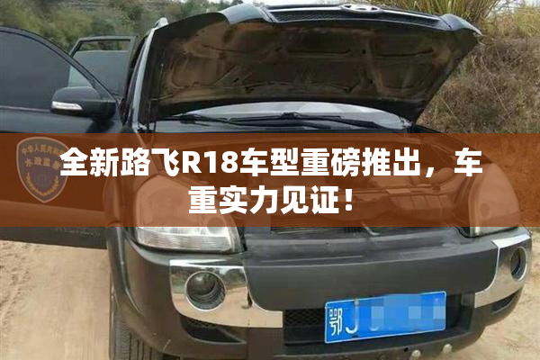 全新路飞R18车型重磅推出，车重实力见证！
