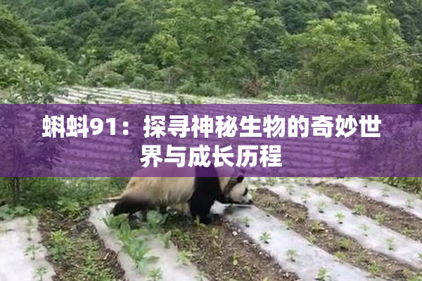蝌蚪91：探寻神秘生物的奇妙世界与成长历程