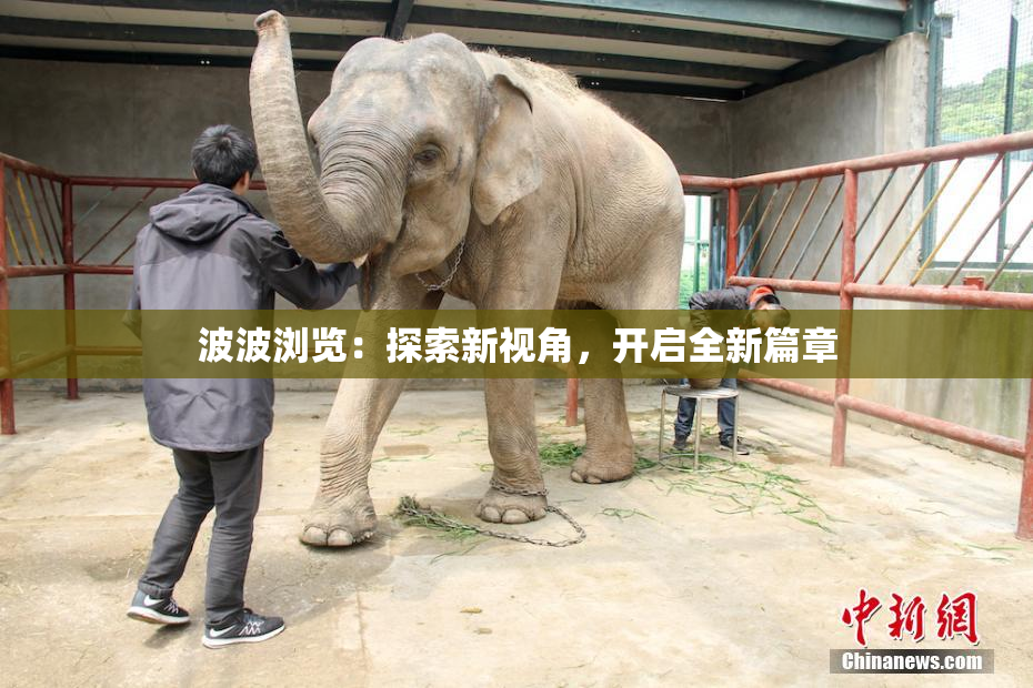 波波浏览：探索新视角，开启全新篇章