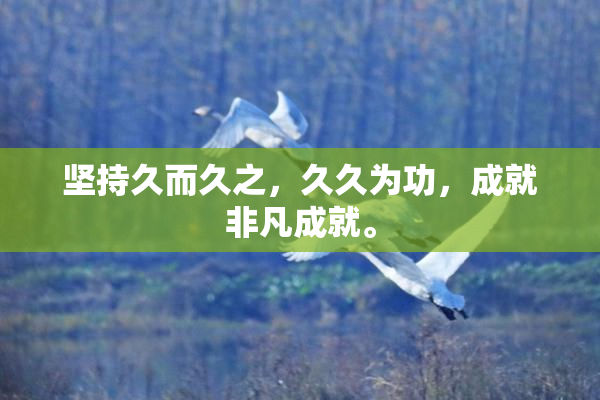 坚持久而久之，久久为功，成就非凡成就。