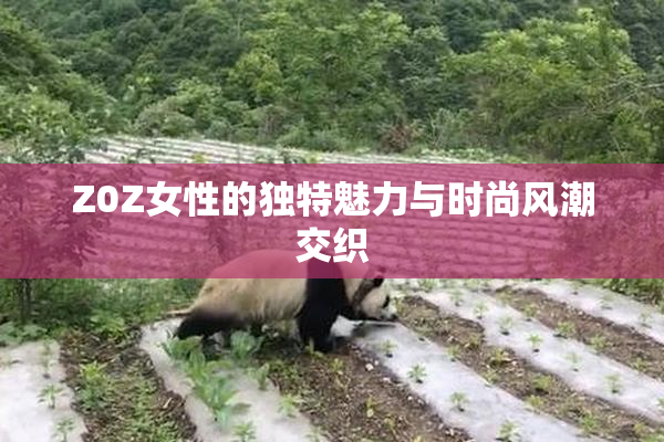 Z0Z女性的独特魅力与时尚风潮交织