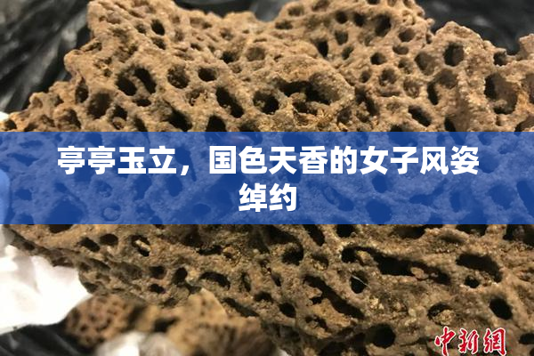 亭亭玉立，国色天香的女子风姿绰约