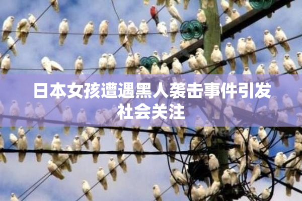 日本女孩遭遇黑人袭击事件引发社会关注