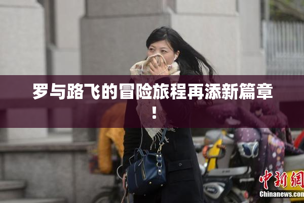 罗与路飞的冒险旅程再添新篇章！