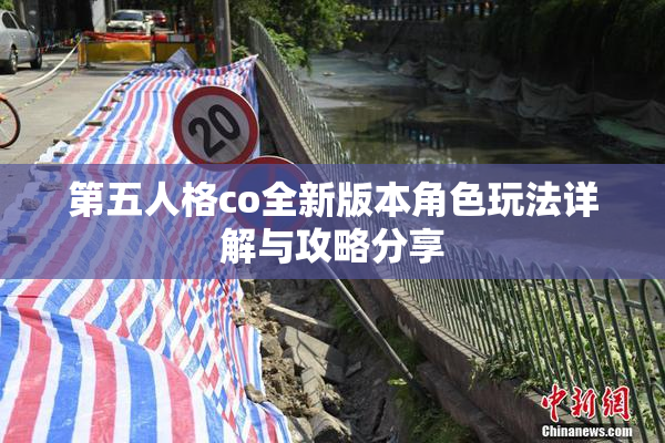 第五人格co全新版本角色玩法详解与攻略分享
