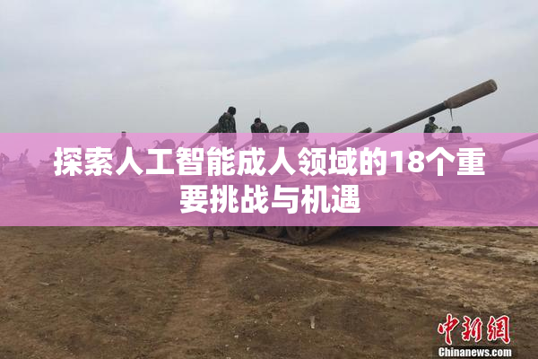 探索人工智能成人领域的18个重要挑战与机遇