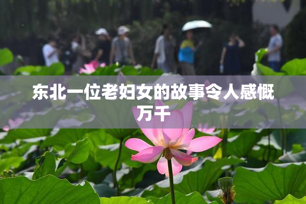 东北一位老妇女的故事令人感慨万千