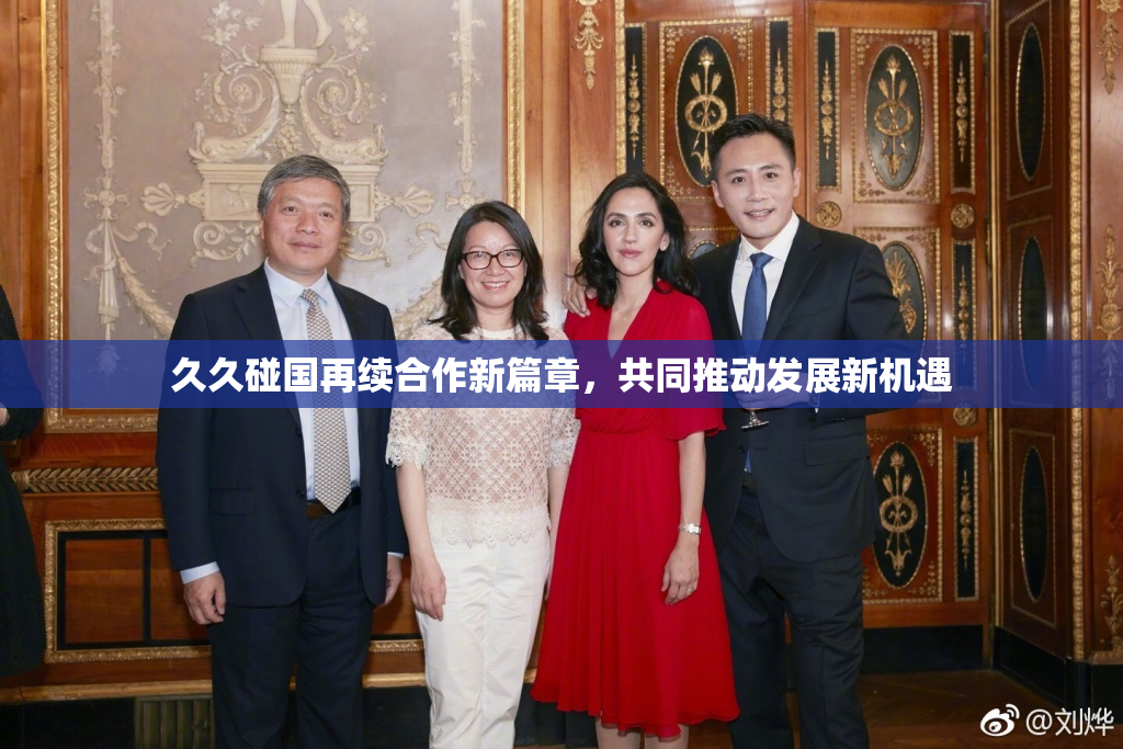 久久碰国再续合作新篇章，共同推动发展新机遇