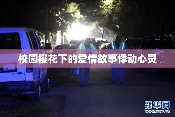 校园樱花下的爱情故事悸动心灵