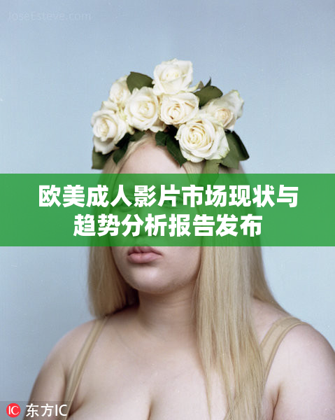 欧美成人影片市场现状与趋势分析报告发布