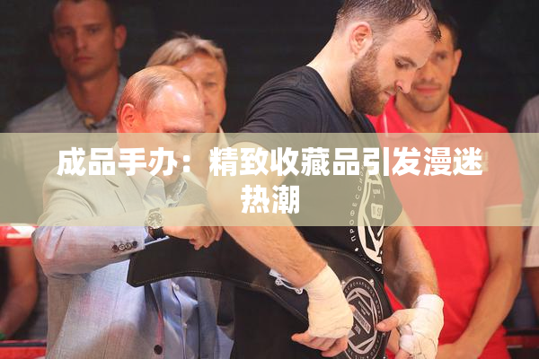 成品手办：精致收藏品引发漫迷热潮