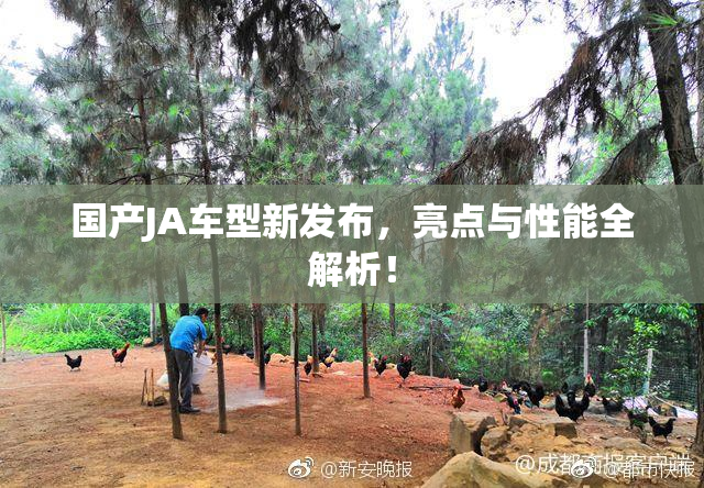 国产JA车型新发布，亮点与性能全解析！