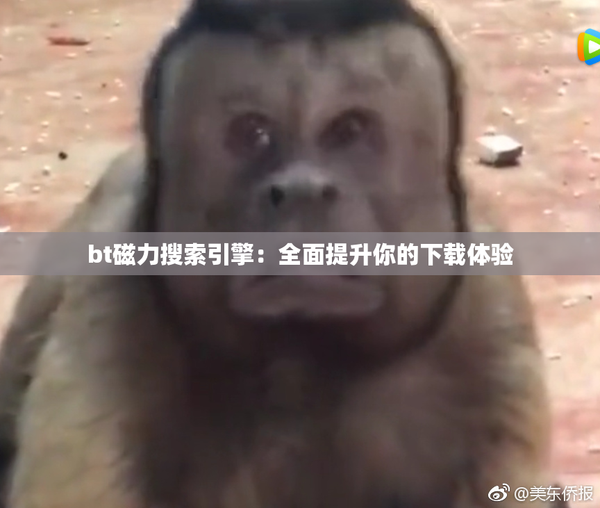 bt磁力搜索引擎：全面提升你的下载体验