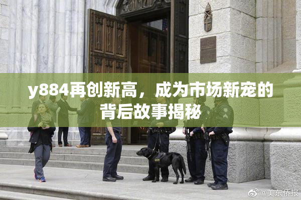 y884再创新高，成为市场新宠的背后故事揭秘