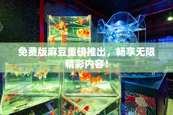 免费版麻豆重磅推出，畅享无限精彩内容！