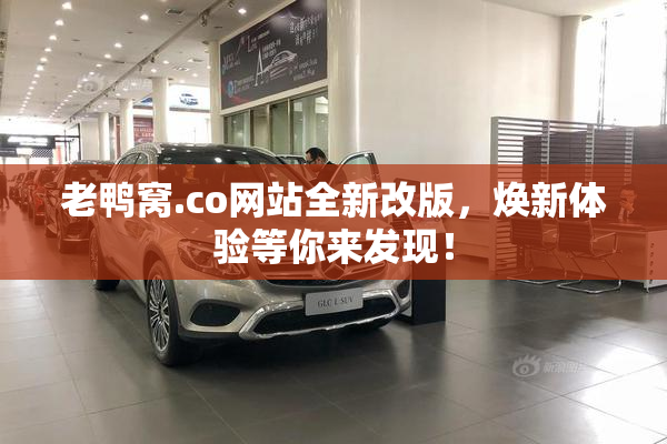 老鸭窝.co网站全新改版，焕新体验等你来发现！