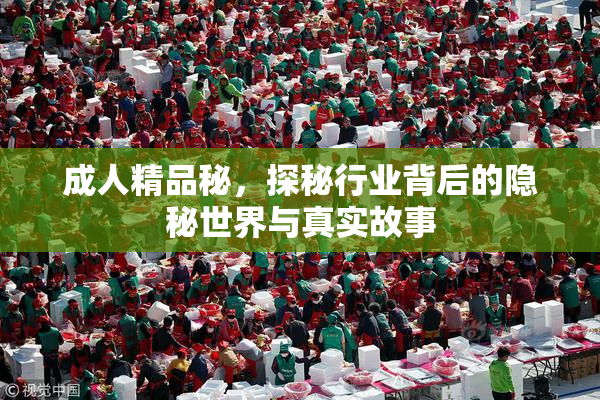 成人精品秘，探秘行业背后的隐秘世界与真实故事