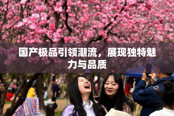 国产极品引领潮流，展现独特魅力与品质