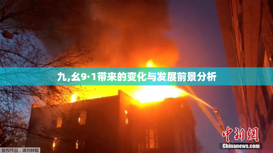 九,幺9·1带来的变化与发展前景分析