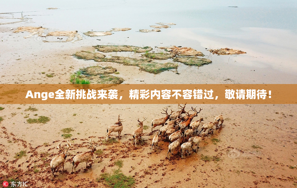 Ange全新挑战来袭，精彩内容不容错过，敬请期待！