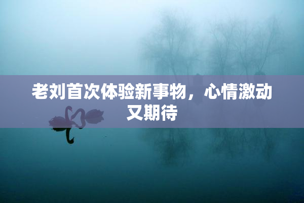 老刘首次体验新事物，心情激动又期待