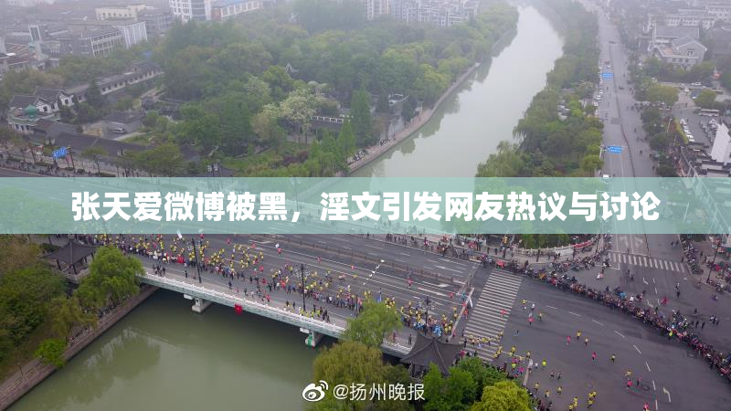 张天爱微博被黑，淫文引发网友热议与讨论