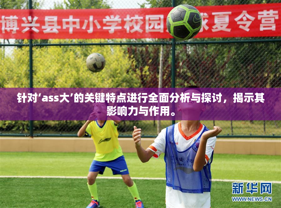 针对‘ass大’的关键特点进行全面分析与探讨，揭示其影响力与作用。
