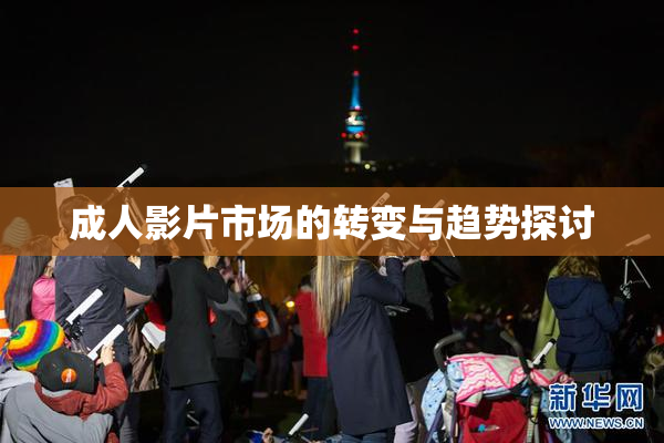 成人影片市场的转变与趋势探讨