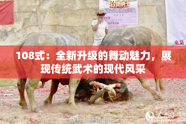 108式：全新升级的舞动魅力，展现传统武术的现代风采