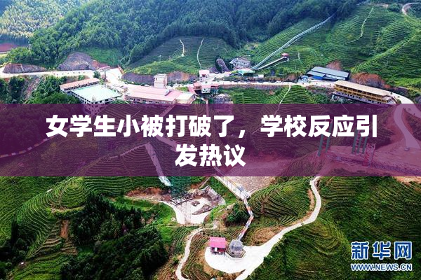 女学生小被打破了，学校反应引发热议