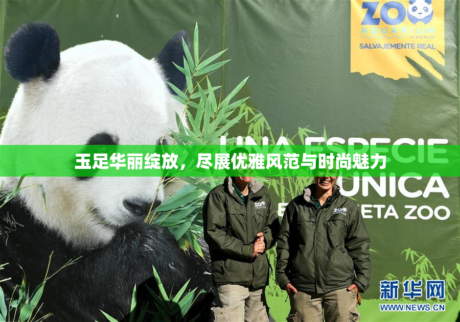玉足华丽绽放，尽展优雅风范与时尚魅力