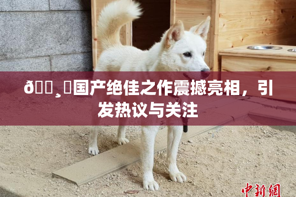 🌸‌国产绝佳之作震撼亮相，引发热议与关注