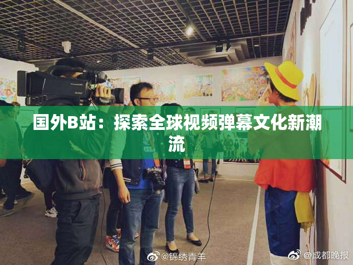 国外B站：探索全球视频弹幕文化新潮流