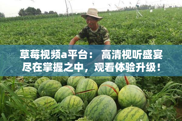 草莓视频a平台： 高清视听盛宴尽在掌握之中，观看体验升级！