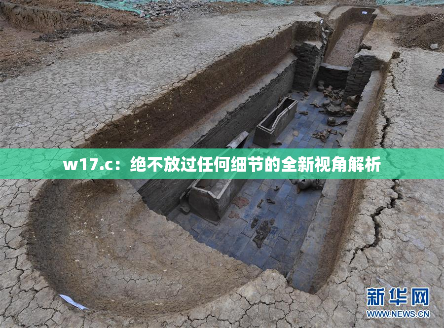 w17.c：绝不放过任何细节的全新视角解析